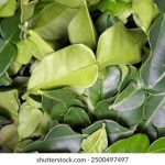 3bl80